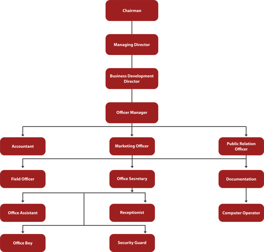 Organization Chart Smart Overseas Pvt Ltd