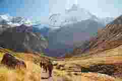 annapurna-base-camp
